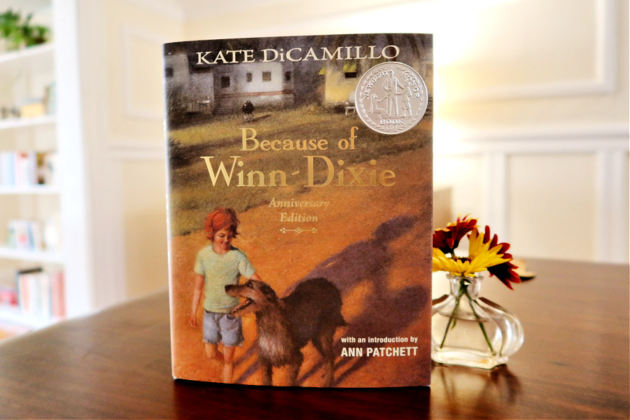 Because of Winn-Dixie: The 20th anniversary edition makes the perfect gift