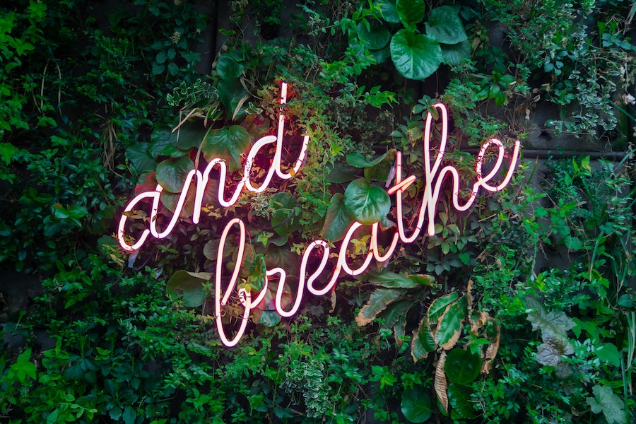 5 simple things I’m doing to stay calm, centered, and not lose my *$&t this year.